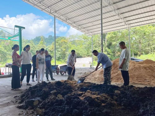 李金鳳 技術服務向下扎根，茶葉發展向上騰飛