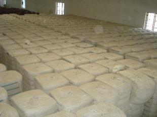 印度皮棉V797 全球農(nóng)副產(chǎn)品市場的重要品種