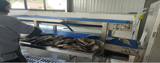 池州貴池涓橋鎮(zhèn) 加快農(nóng)業(yè)轉(zhuǎn)型升級，以特色農(nóng)副產(chǎn)品助力鄉(xiāng)村產(chǎn)業(yè)振興