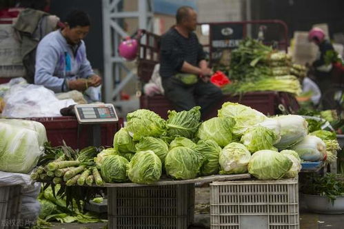 農(nóng)副產(chǎn)業(yè)電商的數(shù)字化升級 共繪鄉(xiāng)村振興美好未來